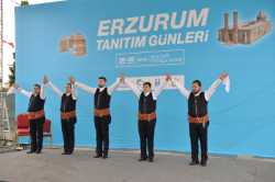 İstanbul Erzurum Tanıtım Günleri